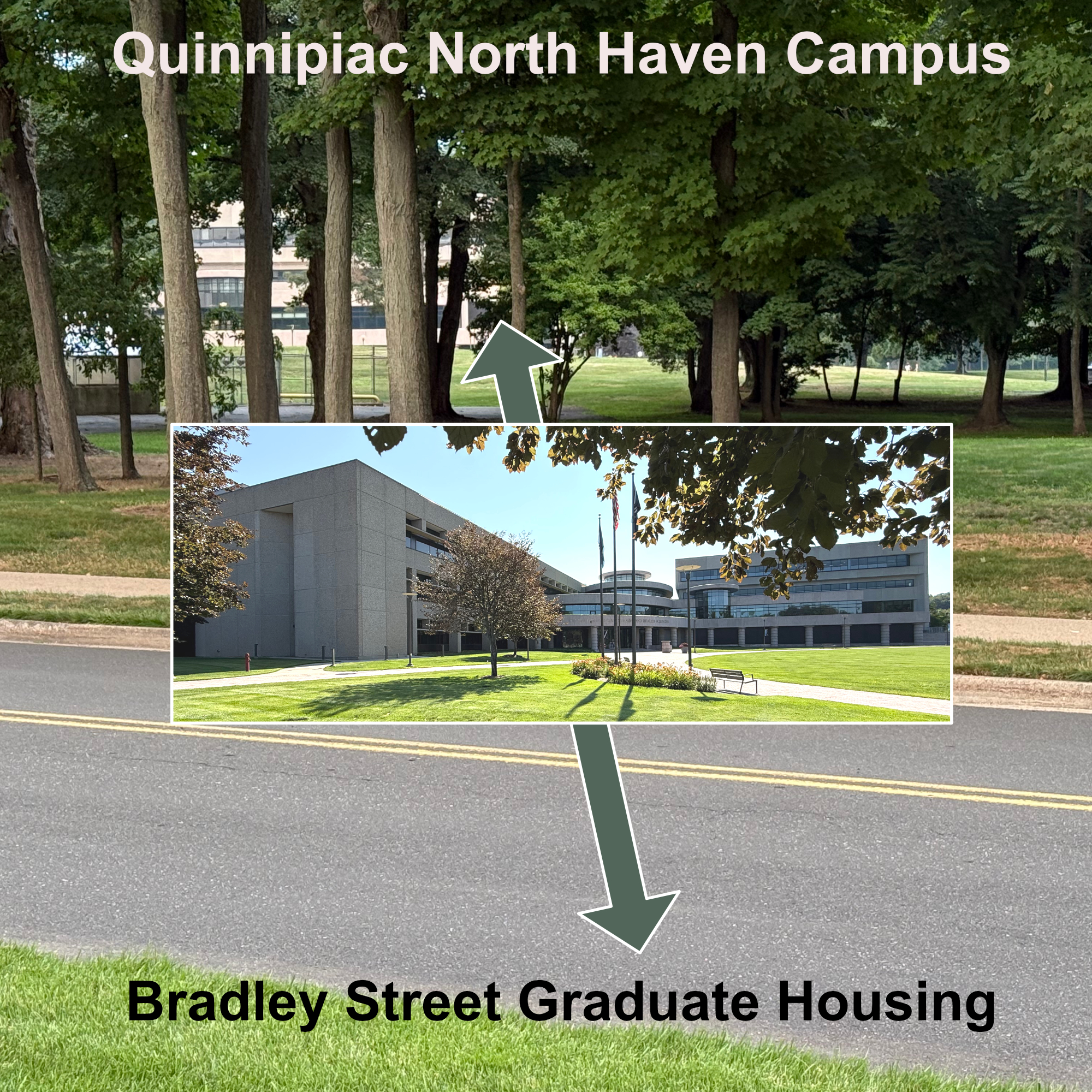 Quinnipiac University North Haven campus across the street from Bradley Street housing