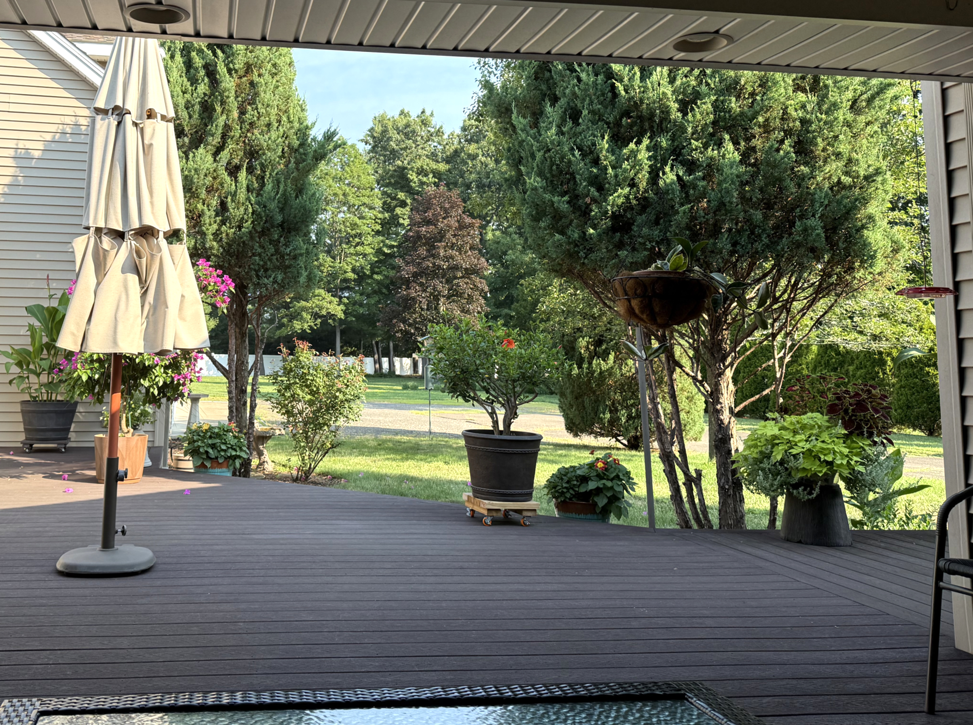 View of the backyard from the covered deck lounging area
